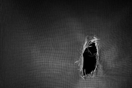 screen enclosure repair